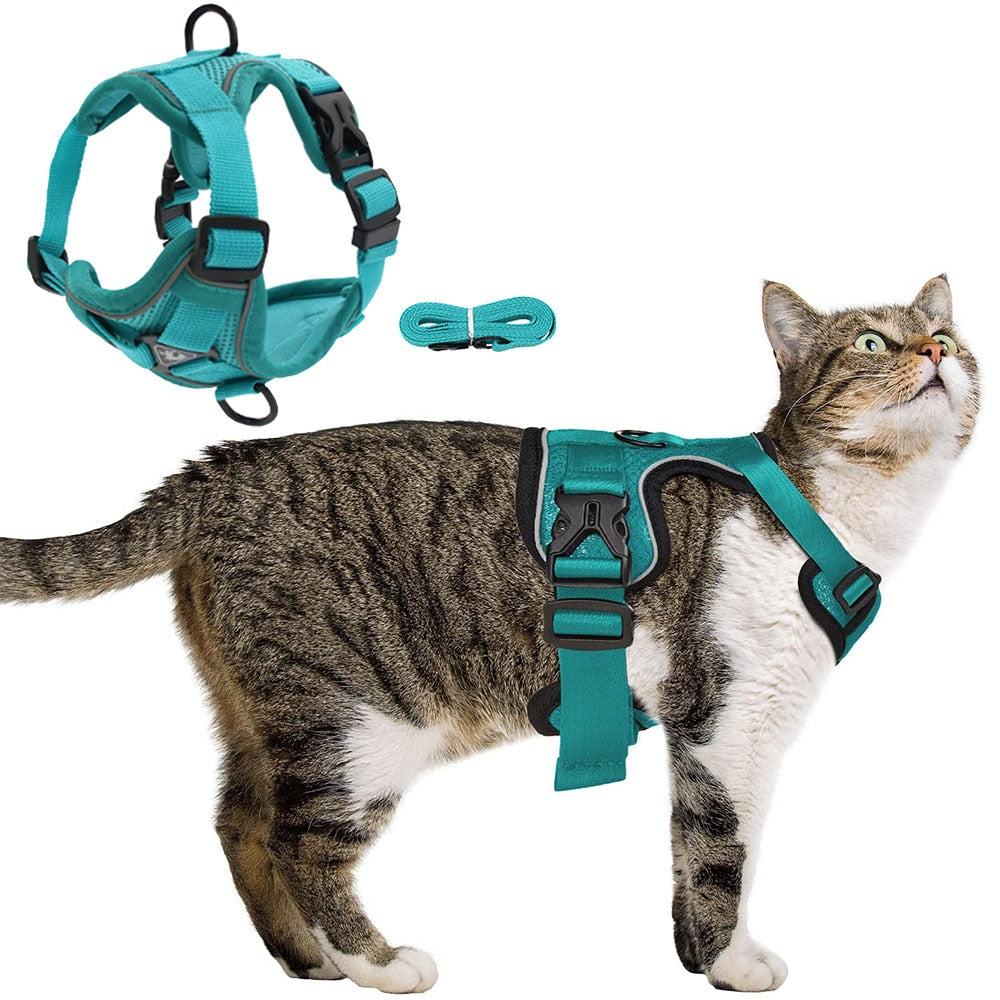 Outdoor Cat Harness and Leash - Misthere K.