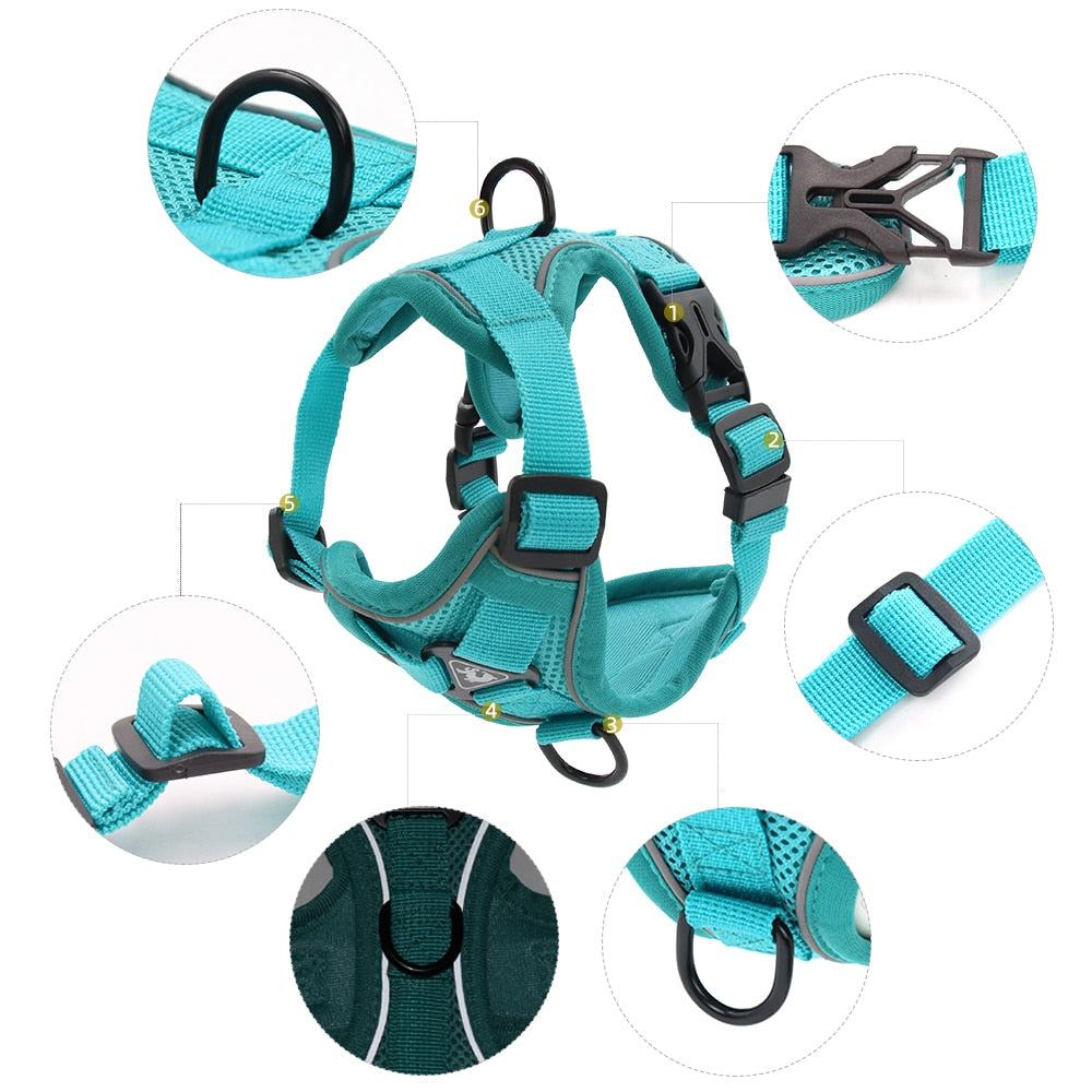 Outdoor Cat Harness and Leash - Misthere K.