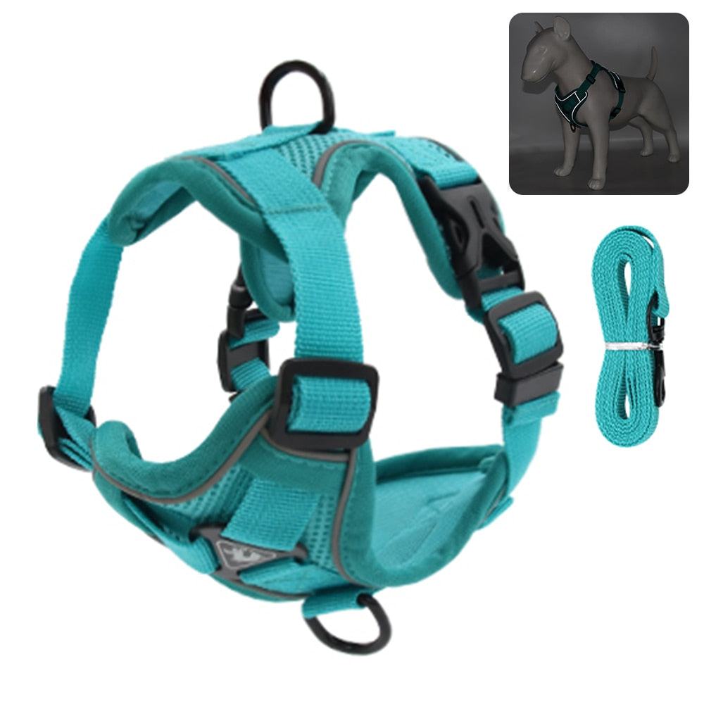 Outdoor Cat Harness and Leash - Misthere K.