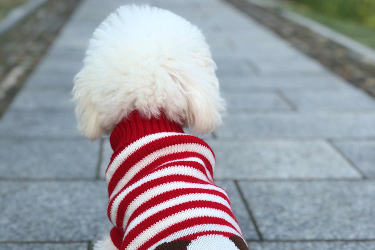 Pet's Winter Warm Christmas Costume