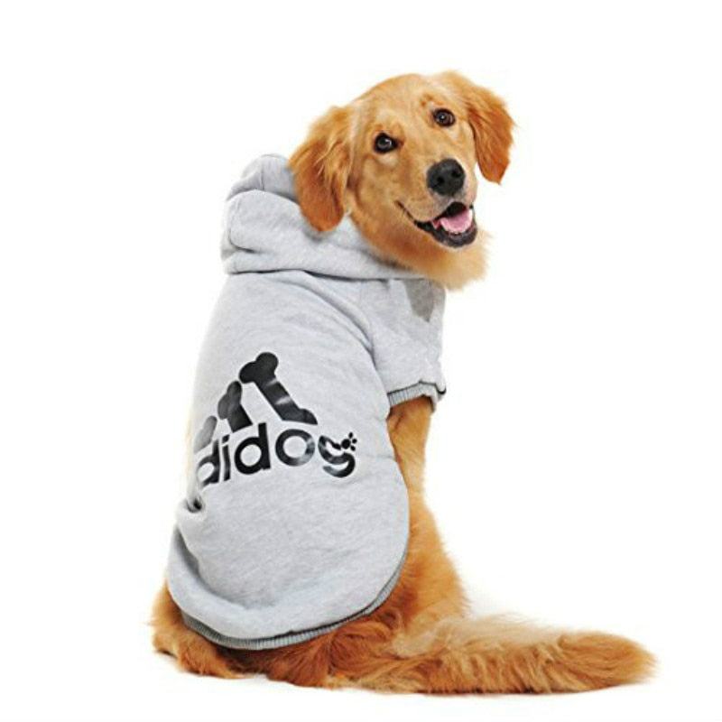 Dogs Warm Sweatshirt JacketMisthere K. - All rights reserved