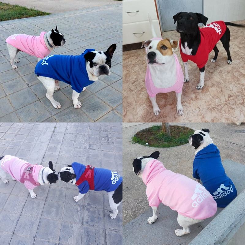 Dogs Warm Sweatshirt JacketMisthere K. - All rights reserved