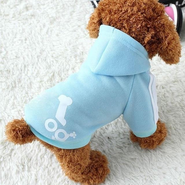 Dogs Warm Sweatshirt JacketMisthere K. - All rights reserved