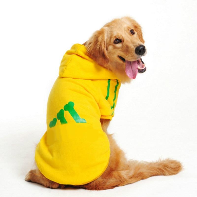 Dogs Warm Sweatshirt JacketMisthere K. - All rights reserved